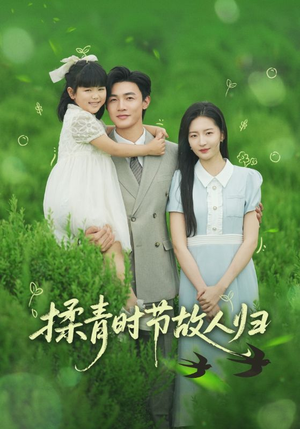揉青时节故人归（60集）百度在线观看