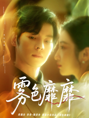 雾色靡靡（67集）追短剧看全集