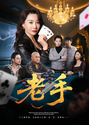 老手（36集）大结局