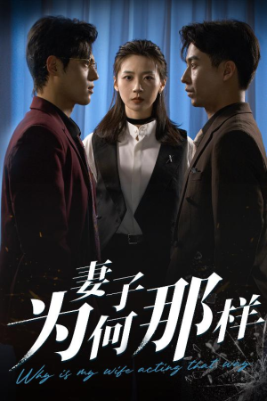 妻子为何那样（60集）排行榜前十短剧