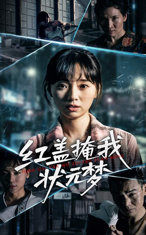 红盖掩我状元梦（44集）最后的大结局