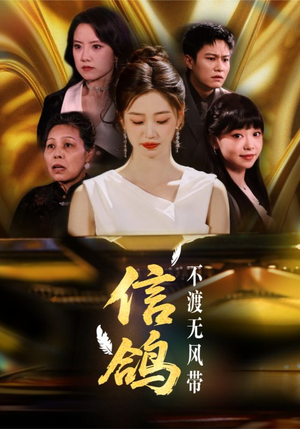 信鸽不渡无风带（65集）最新热剧免费看