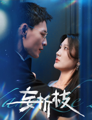 妄折枝（53集）短剧全集完整版
