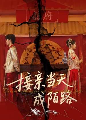 接亲当天成陌路（50集）火爆短剧来袭