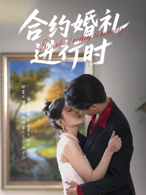 合约婚礼进行时（30集）今日最火短剧