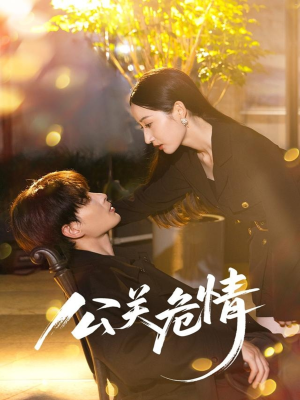 公关危情（60集）好看吗
