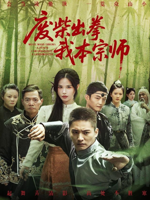 废柴出拳我本宗师（61集）好看的短剧来了