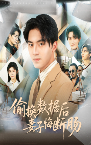 偷换数据后妻子悔断肠（63集）全集完整版