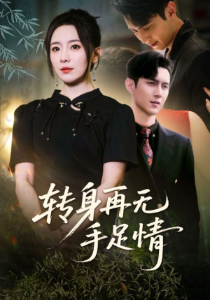 转身再无手足情（71集）在线免费观影