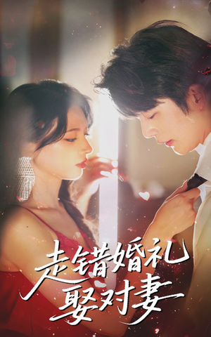 走错婚礼娶对妻（60集最火爆的短剧