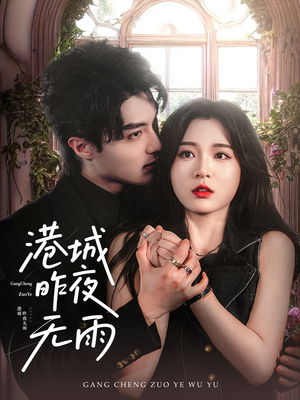 港城昨夜无雨（61集）80到100集