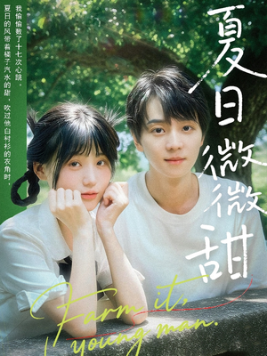 夏日微微甜（79集）精彩短剧免费看