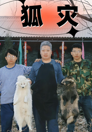 狐灾（25集）短剧中追到爽