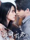 情网引君（68集）免费看短剧全集