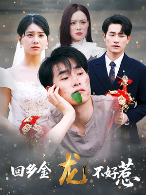 回乡金龙不好惹（74集）热播短剧来袭