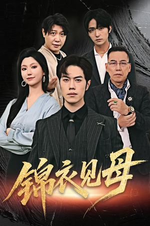 锦衣见母（60集）UC网盘在线看