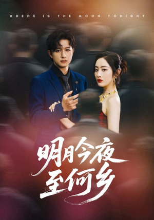 明月今夜至何乡（70集）短剧演员排行榜