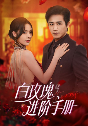 白玫瑰进阶手册（64集）短剧热门分享