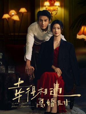 幸得相遇离婚时（81集）免费短剧全集看