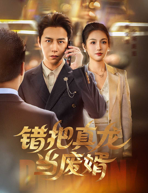 错把真龙当废婿（60集）真的太精彩了