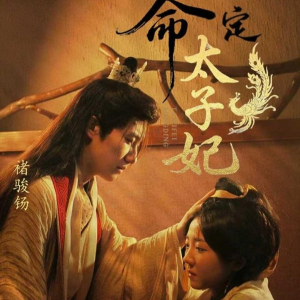 命定太子妃（63集）UC网盘在线看