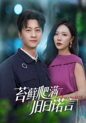 情途难负（83集）精彩短剧热播中