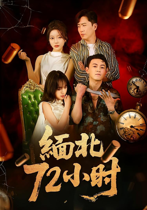 缅北72小时（43集）在线看