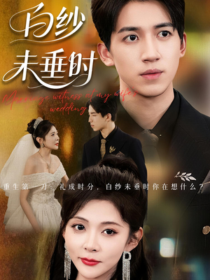老婆婚礼，我当证婚人&老婆婚礼我当证婚人&白纱未垂时（54集）全集在线看