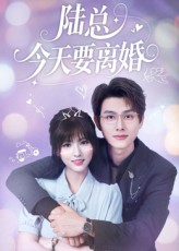 陆总今天要离婚（81集）高分推荐免费看