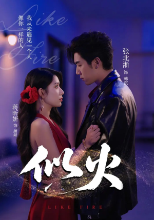 似火（80集）精彩短剧免费看