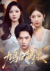 鸠占鹊巢&顶流夫人的致命陷阱（70集）全集免费看短剧