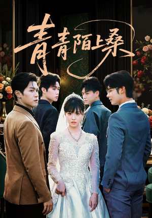 青青陌上桑（70集）在线观看
