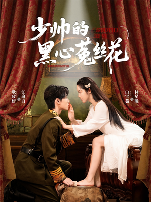 少帅的黑心菟丝花（60集）完整版免费观看