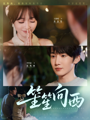笙笙向西（75集）短剧介绍