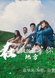 在有风的地方等你（32集）视频在线看