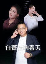 白蔷薇的春天（86集）全集完整版