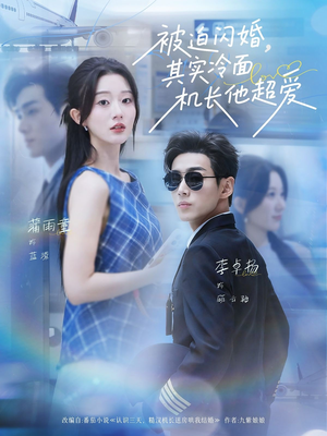 被迫闪婚其实冷面机长他超爱（77集）在线观看
