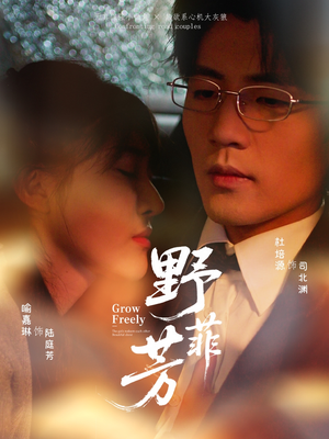 野芳菲（60集）短剧全集免费