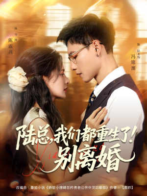 陆总我们都重生了别离婚（79集）精彩短剧上线