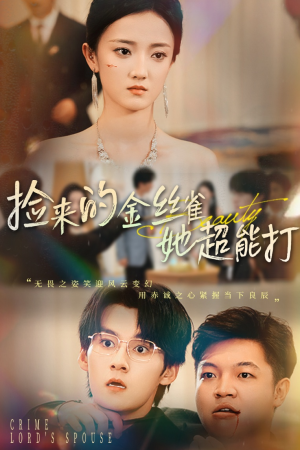 捡来的金丝雀她超能打&和小娇夫领证后夫人她不装了（65级）最新上映的短剧