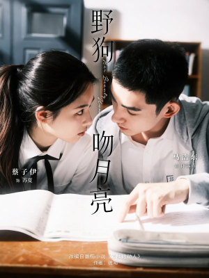 野狗吻月亮（68集）全网短剧抢先看