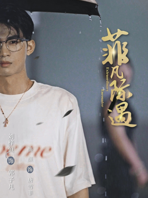 菲凡际遇（100集）高清画质免费看