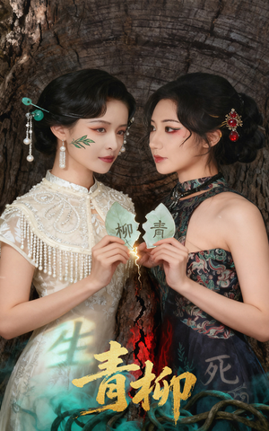 青柳（79集）更新时间