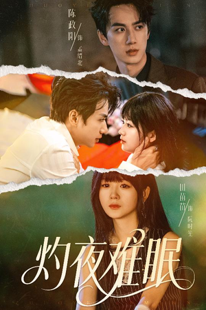 灼夜难眠（60集）在线免费观看