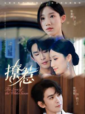 撩惹（80集）全集下载