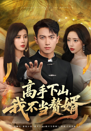 高手下山我不当赘婿（66集）好看吗