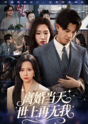 离婚当天世上再无我（60集）番茄短剧看全集