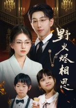 野火烬相思（61集）演的怎么样