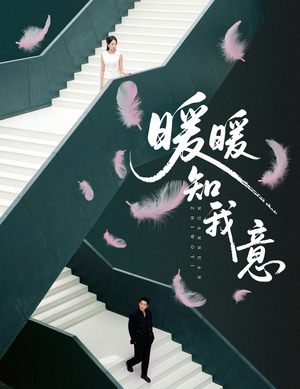 暖暖知我意（61集）短剧越看越精彩