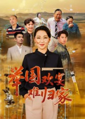 举国欢宴难归家（40集）全集